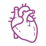 Heart & Vascular