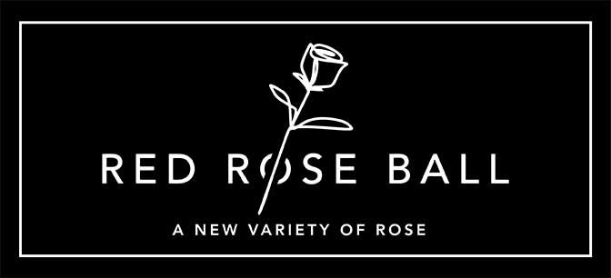 RedRoseBall_logo
